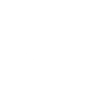 Genética Reprodutiva